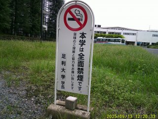 DSCF0247.JPG