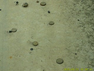 DSCF0256.JPG