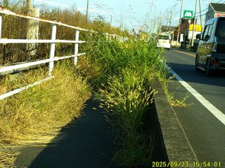 DSCF0260.JPG
