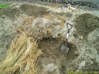 DSCF0264.JPG