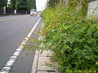 DSCF0303.JPG