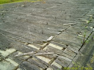 DSCF0303.JPG