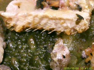 DSCF0311.JPG