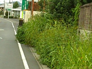 DSCF0300.JPG