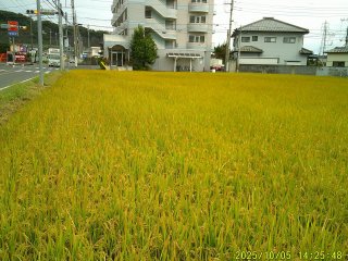 DSCF0304.JPG