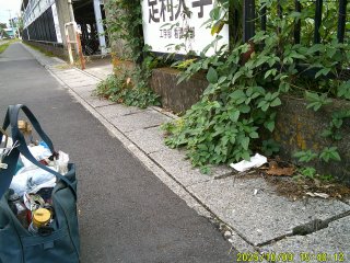 DSCF0305.JPG