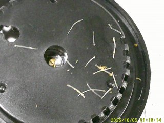 DSCF0309.JPG