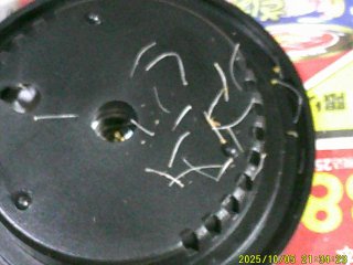 DSCF0310.JPG