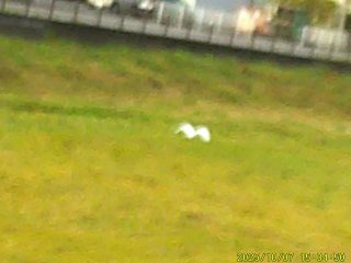 DSCF0299.JPG