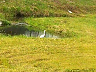DSCF0298.JPG